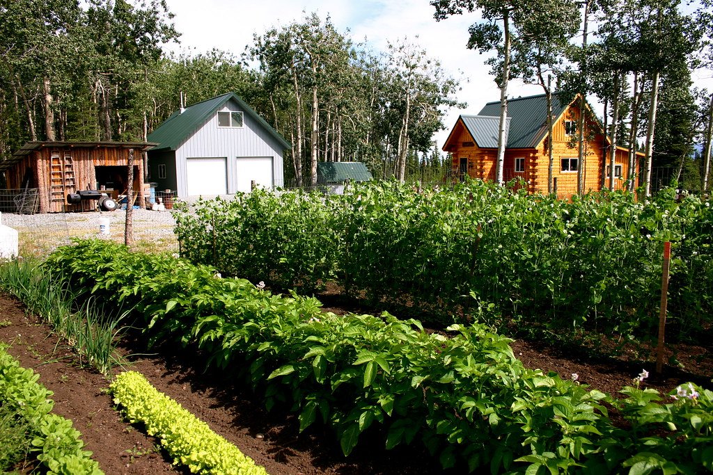 Off-Grid Homestead Sustainability Tips That Work