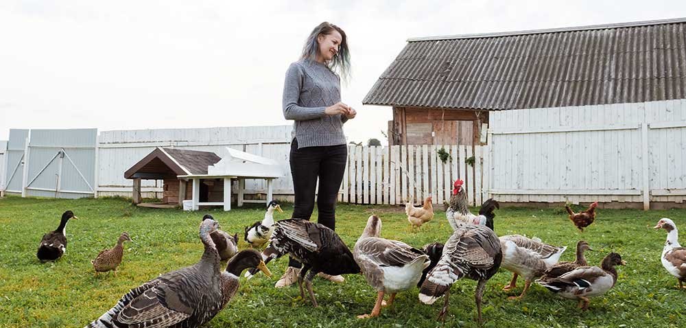 Best States for Off-Grid Homesteading in 2026