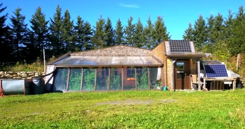 mistakes new homesteaders make Common Mistakes New Homesteaders Make