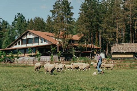 how much land needed for off-grid homestead How Much Land Is Needed for an Off-Grid Homestead?