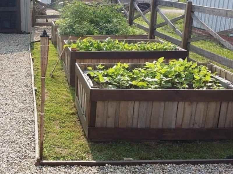 permaculture principles homestead Permaculture Principles for Sustainable Homesteads