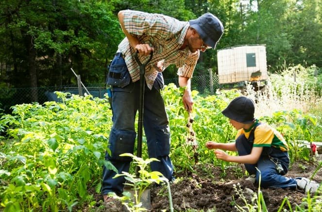 Self-Sufficient Homestead Guide for Beginners