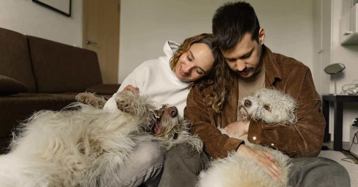 Understanding Automated Solutions for Pet Households &mdash; automated home maintenance for pet owners