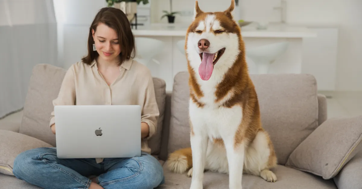 Best AI Home Security Systems for Pet Owners