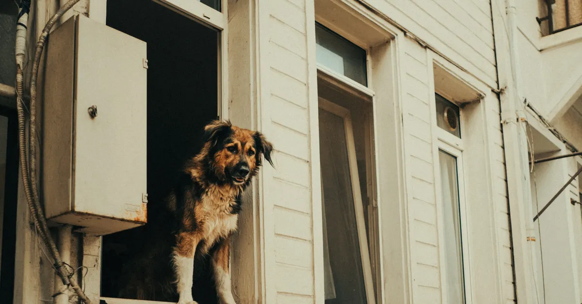 Understanding AI Home Security Alerts: What to Expect